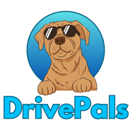 DrivePals